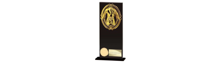 FUSION MAVERICK MARTIAL ARTS GLASS TROPHY - 5 SIZES - 12.5CM - 20CM FUSION MAVERICK MARTIAL ARTS GLASS TROPHY - 5 SIZES - 12.5CM - 20CM